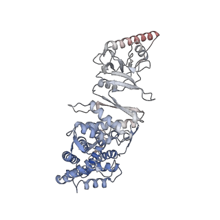 9541_5gw5_E_v1-2
Structure of TRiC-AMP-PNP