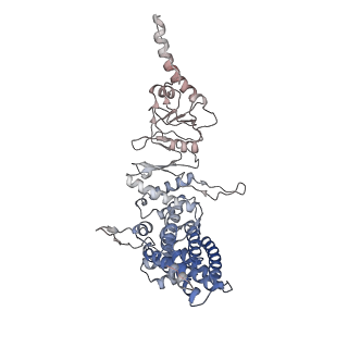 9541_5gw5_G_v1-1
Structure of TRiC-AMP-PNP