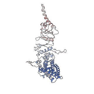 9541_5gw5_G_v1-2
Structure of TRiC-AMP-PNP