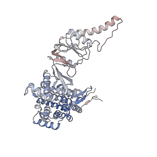9541_5gw5_H_v1-1
Structure of TRiC-AMP-PNP