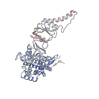 9541_5gw5_H_v1-2
Structure of TRiC-AMP-PNP