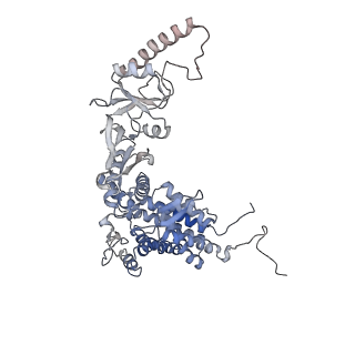 9541_5gw5_Q_v1-2
Structure of TRiC-AMP-PNP