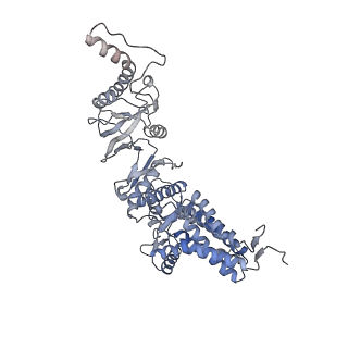 9541_5gw5_Z_v1-1
Structure of TRiC-AMP-PNP