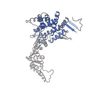 9541_5gw5_a_v1-1
Structure of TRiC-AMP-PNP