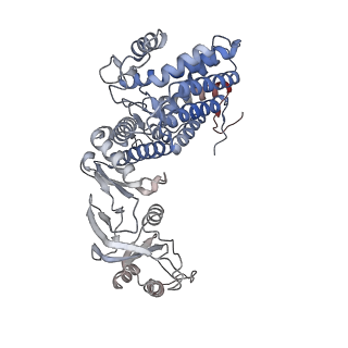9541_5gw5_b_v1-1
Structure of TRiC-AMP-PNP