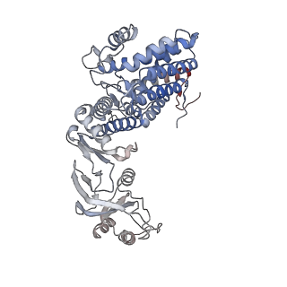 9541_5gw5_b_v1-2
Structure of TRiC-AMP-PNP