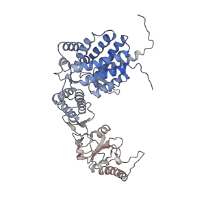 9541_5gw5_d_v1-2
Structure of TRiC-AMP-PNP