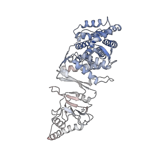 9541_5gw5_e_v1-1
Structure of TRiC-AMP-PNP