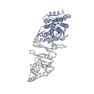 9541_5gw5_e_v1-2
Structure of TRiC-AMP-PNP