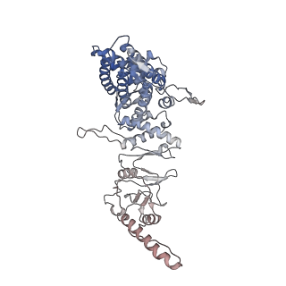 9541_5gw5_g_v1-1
Structure of TRiC-AMP-PNP