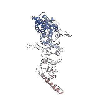 9541_5gw5_g_v1-2
Structure of TRiC-AMP-PNP