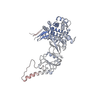 9541_5gw5_h_v1-1
Structure of TRiC-AMP-PNP