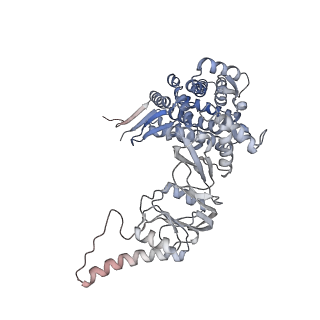 9541_5gw5_h_v1-2
Structure of TRiC-AMP-PNP