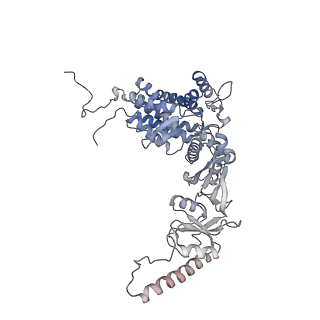 9541_5gw5_q_v1-2
Structure of TRiC-AMP-PNP