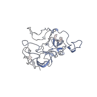 0080_6gxm_C_v1-1
Cryo-EM structure of an E. coli 70S ribosome in complex with RF3-GDPCP, RF1(GAQ) and Pint-tRNA (State II)