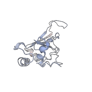 0080_6gxm_F_v1-1
Cryo-EM structure of an E. coli 70S ribosome in complex with RF3-GDPCP, RF1(GAQ) and Pint-tRNA (State II)