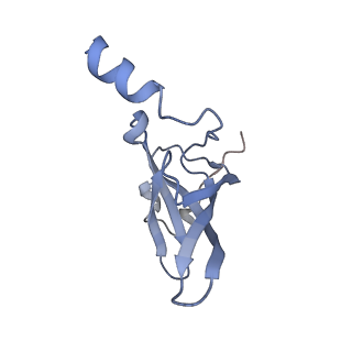 0080_6gxm_P_v1-1
Cryo-EM structure of an E. coli 70S ribosome in complex with RF3-GDPCP, RF1(GAQ) and Pint-tRNA (State II)