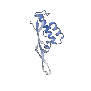0080_6gxm_S_v1-1
Cryo-EM structure of an E. coli 70S ribosome in complex with RF3-GDPCP, RF1(GAQ) and Pint-tRNA (State II)