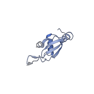 0080_6gxm_T_v1-1
Cryo-EM structure of an E. coli 70S ribosome in complex with RF3-GDPCP, RF1(GAQ) and Pint-tRNA (State II)