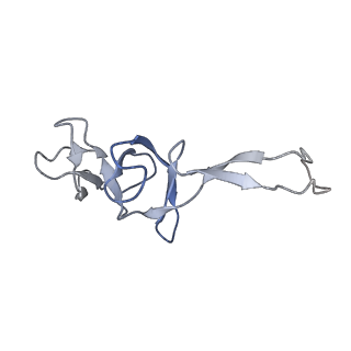 0080_6gxm_U_v1-1
Cryo-EM structure of an E. coli 70S ribosome in complex with RF3-GDPCP, RF1(GAQ) and Pint-tRNA (State II)