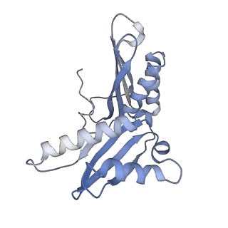 0080_6gxm_c_v1-1
Cryo-EM structure of an E. coli 70S ribosome in complex with RF3-GDPCP, RF1(GAQ) and Pint-tRNA (State II)