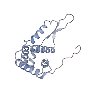 0080_6gxm_g_v1-1
Cryo-EM structure of an E. coli 70S ribosome in complex with RF3-GDPCP, RF1(GAQ) and Pint-tRNA (State II)