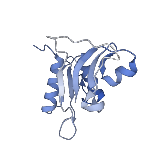 0080_6gxm_h_v1-1
Cryo-EM structure of an E. coli 70S ribosome in complex with RF3-GDPCP, RF1(GAQ) and Pint-tRNA (State II)