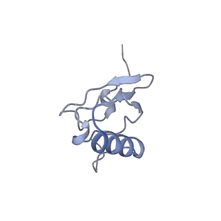 0080_6gxm_s_v1-1
Cryo-EM structure of an E. coli 70S ribosome in complex with RF3-GDPCP, RF1(GAQ) and Pint-tRNA (State II)