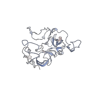 0081_6gxn_C_v1-1
Cryo-EM structure of an E. coli 70S ribosome in complex with RF3-GDPCP, RF1(GAQ) and Pint-tRNA (State III)