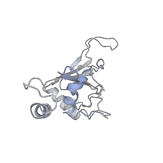 0081_6gxn_F_v1-1
Cryo-EM structure of an E. coli 70S ribosome in complex with RF3-GDPCP, RF1(GAQ) and Pint-tRNA (State III)