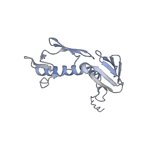 0081_6gxn_G_v1-1
Cryo-EM structure of an E. coli 70S ribosome in complex with RF3-GDPCP, RF1(GAQ) and Pint-tRNA (State III)