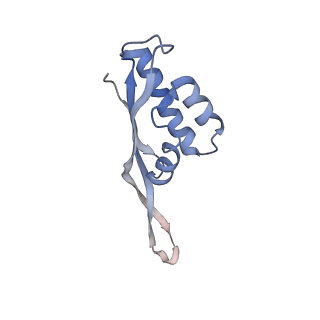 0081_6gxn_S_v1-1
Cryo-EM structure of an E. coli 70S ribosome in complex with RF3-GDPCP, RF1(GAQ) and Pint-tRNA (State III)
