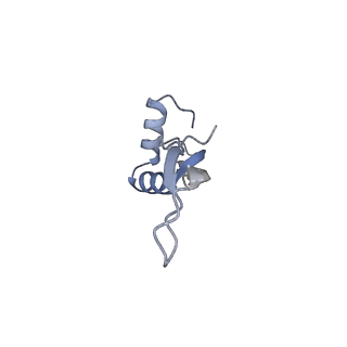 0081_6gxn_X_v1-1
Cryo-EM structure of an E. coli 70S ribosome in complex with RF3-GDPCP, RF1(GAQ) and Pint-tRNA (State III)