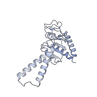 0081_6gxn_b_v1-1
Cryo-EM structure of an E. coli 70S ribosome in complex with RF3-GDPCP, RF1(GAQ) and Pint-tRNA (State III)