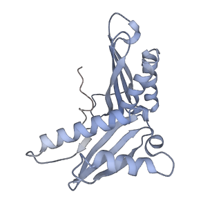 0081_6gxn_c_v1-1
Cryo-EM structure of an E. coli 70S ribosome in complex with RF3-GDPCP, RF1(GAQ) and Pint-tRNA (State III)