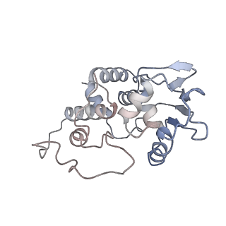 0081_6gxn_d_v1-1
Cryo-EM structure of an E. coli 70S ribosome in complex with RF3-GDPCP, RF1(GAQ) and Pint-tRNA (State III)
