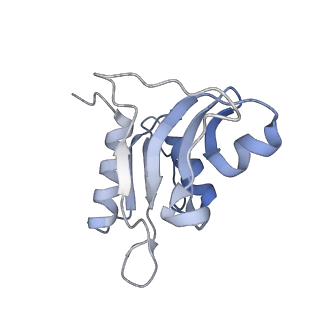 0081_6gxn_h_v1-1
Cryo-EM structure of an E. coli 70S ribosome in complex with RF3-GDPCP, RF1(GAQ) and Pint-tRNA (State III)