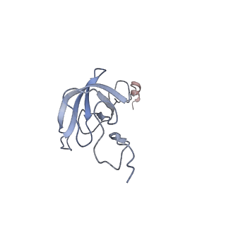 0081_6gxn_l_v1-1
Cryo-EM structure of an E. coli 70S ribosome in complex with RF3-GDPCP, RF1(GAQ) and Pint-tRNA (State III)