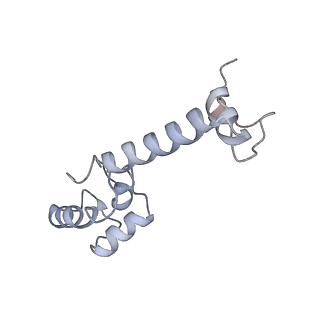 0081_6gxn_m_v1-1
Cryo-EM structure of an E. coli 70S ribosome in complex with RF3-GDPCP, RF1(GAQ) and Pint-tRNA (State III)
