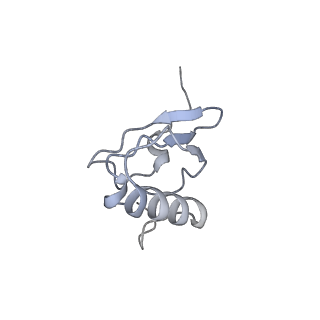 0081_6gxn_s_v1-1
Cryo-EM structure of an E. coli 70S ribosome in complex with RF3-GDPCP, RF1(GAQ) and Pint-tRNA (State III)