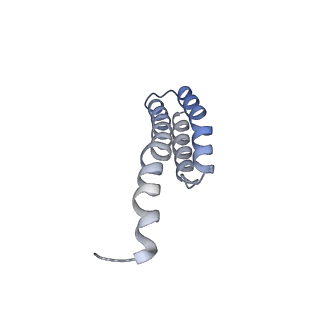 0081_6gxn_t_v1-1
Cryo-EM structure of an E. coli 70S ribosome in complex with RF3-GDPCP, RF1(GAQ) and Pint-tRNA (State III)