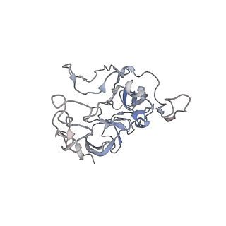 0082_6gxo_C_v1-1
Cryo-EM structure of a rotated E. coli 70S ribosome in complex with RF3-GDPCP, RF1(GAQ) and P/E-tRNA (State IV)