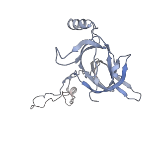 0082_6gxo_D_v1-1
Cryo-EM structure of a rotated E. coli 70S ribosome in complex with RF3-GDPCP, RF1(GAQ) and P/E-tRNA (State IV)