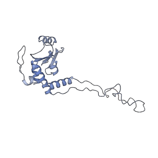 0082_6gxo_E_v1-1
Cryo-EM structure of a rotated E. coli 70S ribosome in complex with RF3-GDPCP, RF1(GAQ) and P/E-tRNA (State IV)