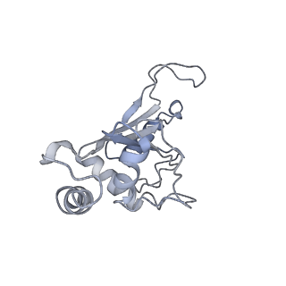 0082_6gxo_F_v1-1
Cryo-EM structure of a rotated E. coli 70S ribosome in complex with RF3-GDPCP, RF1(GAQ) and P/E-tRNA (State IV)