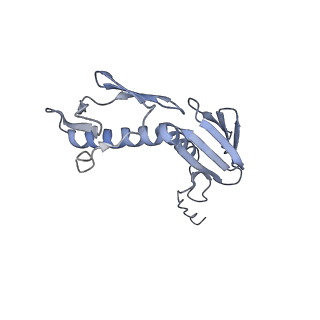 0082_6gxo_G_v1-1
Cryo-EM structure of a rotated E. coli 70S ribosome in complex with RF3-GDPCP, RF1(GAQ) and P/E-tRNA (State IV)