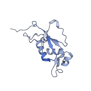 0082_6gxo_J_v1-1
Cryo-EM structure of a rotated E. coli 70S ribosome in complex with RF3-GDPCP, RF1(GAQ) and P/E-tRNA (State IV)