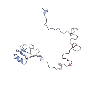 0082_6gxo_L_v1-1
Cryo-EM structure of a rotated E. coli 70S ribosome in complex with RF3-GDPCP, RF1(GAQ) and P/E-tRNA (State IV)
