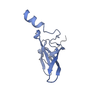 0082_6gxo_P_v1-1
Cryo-EM structure of a rotated E. coli 70S ribosome in complex with RF3-GDPCP, RF1(GAQ) and P/E-tRNA (State IV)
