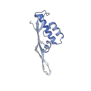 0082_6gxo_S_v1-1
Cryo-EM structure of a rotated E. coli 70S ribosome in complex with RF3-GDPCP, RF1(GAQ) and P/E-tRNA (State IV)